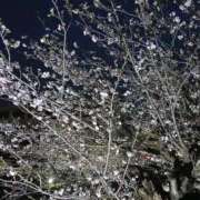 ヒメ日記 2026/03/28 21:51 投稿 ゆい 愛知弥富ちゃんこ