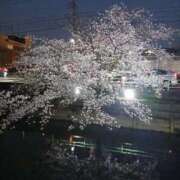 ヒメ日記 2026/04/03 17:41 投稿 ゆい 愛知弥富ちゃんこ