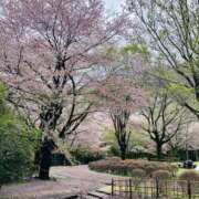 ヒメ日記 2026/04/05 12:14 投稿 桃園 ちはや De愛急行 栗東インター店