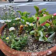 ヒメ日記 2025/06/07 17:02 投稿 れいな 神戸回春性感マッサージ倶楽部