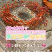 ヒメ日記 2025/07/29 17:12 投稿 れいな 神戸回春性感マッサージ倶楽部