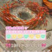 ヒメ日記 2025/08/19 07:32 投稿 れいな 神戸回春性感マッサージ倶楽部