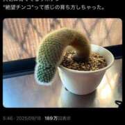 ヒメ日記 2025/09/19 12:04 投稿 れいな 神戸回春性感マッサージ倶楽部