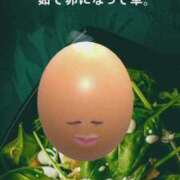 ヒメ日記 2025/11/21 12:03 投稿 れいな 神戸回春性感マッサージ倶楽部