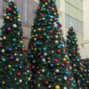 ヒメ日記 2025/12/03 12:22 投稿 れいな 神戸回春性感マッサージ倶楽部