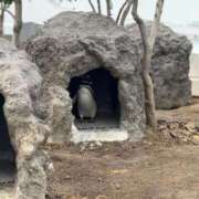 ヒメ日記 2025/12/10 12:22 投稿 れいな 神戸回春性感マッサージ倶楽部