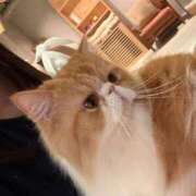 ヒメ日記 2026/01/20 19:12 投稿 れいな 神戸回春性感マッサージ倶楽部