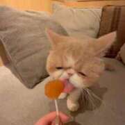 ヒメ日記 2026/01/21 12:02 投稿 れいな 神戸回春性感マッサージ倶楽部