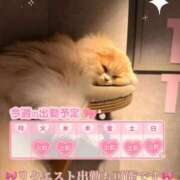 ヒメ日記 2026/01/27 12:02 投稿 れいな 神戸回春性感マッサージ倶楽部