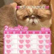 ヒメ日記 2026/02/04 12:12 投稿 れいな 神戸回春性感マッサージ倶楽部