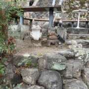 ヒメ日記 2026/03/17 18:02 投稿 れいな 神戸回春性感マッサージ倶楽部