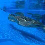 ヒメ日記 2026/04/14 12:22 投稿 れいな 神戸回春性感マッサージ倶楽部