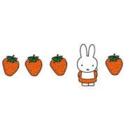 ヒメ日記 2025/01/11 14:06 投稿 滝川しおん 全裸の極みorドッキング痴漢電車