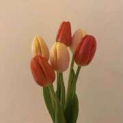 ヒメ日記 2025/02/21 19:45 投稿 滝川しおん 全裸の極みorドッキング痴漢電車