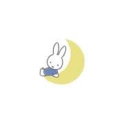 ヒメ日記 2025/02/28 22:25 投稿 滝川しおん 全裸の極みorドッキング痴漢電車