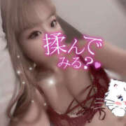 ヒメ日記 2026/08/24 20:11 投稿 えみ HONEY NIGHT