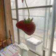 ヒメ日記 2025/05/05 05:54 投稿 あいこ 東京デザインリング錦糸町店