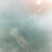 ヒメ日記 2025/03/17 11:49 投稿 ゆいみ 姫コレクション