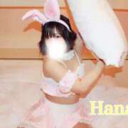 ヒメ日記 2025/05/30 20:54 投稿 はなび チューリップ福井本館