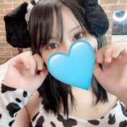 ヒメ日記 2025/01/05 15:17 投稿 ひなた 無我（むが）