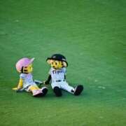 ヒメ日記 2025/10/08 11:46 投稿 桜井 熟女待機所 厚木店