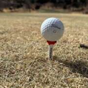 ヒメ日記 2025/11/12 10:06 投稿 桜井 熟女待機所 厚木店