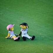 ヒメ日記 2026/04/20 11:05 投稿 桜井 熟女待機所 厚木店