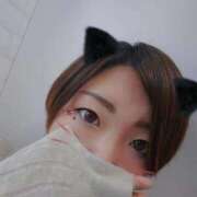 ヒメ日記 2025/11/27 02:39 投稿 まりこ 再婚したい女達