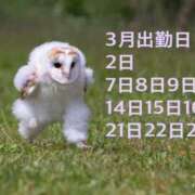 ヒメ日記 2025/03/01 14:32 投稿 ほまれ プレイボーイ(八王子)