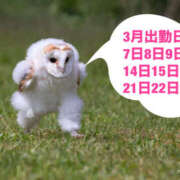 ヒメ日記 2025/03/03 20:37 投稿 ほまれ プレイボーイ(八王子)