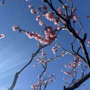 みりあ にゃんにゃんにゃんの日!!ฅ^•ω•^ฅ 池袋平成女学園