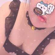 ヒメ日記 2025/01/13 11:50 投稿 りの 愛知三河安城岡崎ちゃんこ