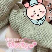 ヒメ日記 2025/06/21 15:10 投稿 りの 愛知三河安城岡崎ちゃんこ