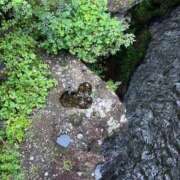 ヒメ日記 2025/09/27 20:14 投稿 一条 ゆら マーベリック横浜