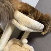 ヒメ日記 2024/12/19 09:01 投稿 ひなみ クラブ貴公子