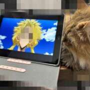 ヒメ日記 2025/02/16 12:57 投稿 ひなみ クラブ貴公子