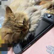 ヒメ日記 2025/03/12 10:44 投稿 ひなみ クラブ貴公子