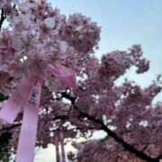 ヒメ日記 2025/03/13 19:15 投稿 ひなみ クラブ貴公子