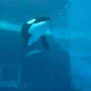 ヒメ日記 2025/05/22 14:04 投稿 ひなみ クラブ貴公子