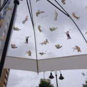 ヒメ日記 2025/06/10 08:01 投稿 ひなみ クラブ貴公子