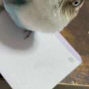 ヒメ日記 2025/10/05 08:30 投稿 ひなみ クラブ貴公子