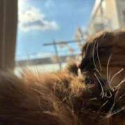 ヒメ日記 2026/03/28 08:30 投稿 ひなみ クラブ貴公子