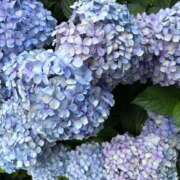 ヒメ日記 2026/06/14 09:01 投稿 ひなみ クラブ貴公子