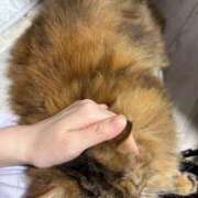 ヒメ日記 2026/07/04 08:30 投稿 ひなみ クラブ貴公子