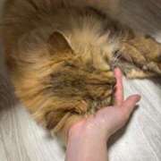 ヒメ日記 2026/10/04 08:30 投稿 ひなみ クラブ貴公子