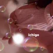 ヒメ日記 2025/01/19 12:31 投稿 いちご 池袋マリン本店