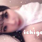 ヒメ日記 2025/01/23 13:31 投稿 いちご 池袋マリン本店