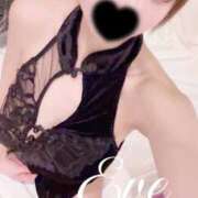 いぶ いぬんぽ🐶 NEW GENERATION