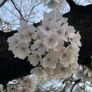 ヒメ日記 2025/04/10 12:42 投稿 ゆな モアグループ熊谷人妻花壇