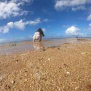 ヒメ日記 2025/04/19 18:40 投稿 にいな めっちゃスイスク梅田店